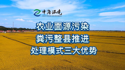 畜禽糞污資源化利用整縣推進模式探索與農(nóng)業(yè)面源污染協(xié)同防治