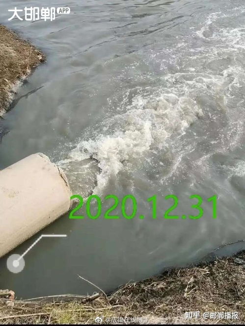 污水直排為哪般？——河北大名縣水污染事件背后的監(jiān)管之問